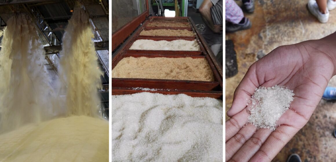 Photo d'illustration usine sucre de canne Photo d'illustration usine sucre de canne