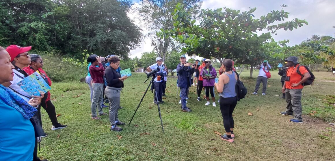 Dimanche 3 mars 2024, de 7h à 9h30, une sortie ornithologique à Babin, Morne-à-l’Eau, a rassemblé 32 passionnés de la nature. Photo : FB Ville de Morne à l'eau Dimanche 3 mars 2024, de 7h à 9h30, une sortie ornithologique à Babin, Morne-à-l’Eau, a rassemblé 32 passionnés de la nature. Photo : FB Ville de Morne à l'eau
