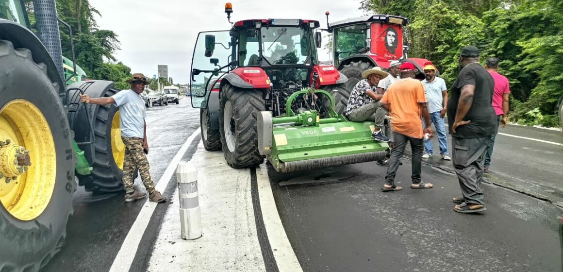 La grogne des planteurs de canne atteint son paroxysme avec le blocage jeudi 25 et vendredi 26 avril 2024 de toutes les entrées de la zone industrielle de Jarry à Baie-Mahault. Photo : Le Courrier de Guadeloupe La grogne des planteurs de canne atteint son paroxysme avec le blocage jeudi 25 et vendredi 26 avril 2024 de toutes les entrées de la zone industrielle de Jarry à Baie-Mahault. Photo : Le Courrier de Guadeloupe