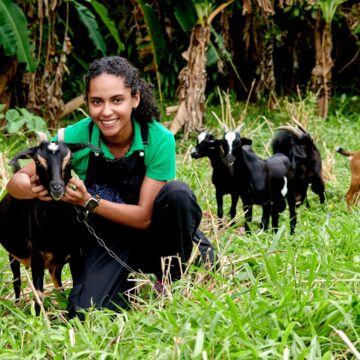 À 23 ans, Nahuel Tournebize, élève ingénieure agronome sous statut d’étudiant entrepreneur, aspire à créer Capr’îles, le premier fromage made in Guadeloupe, grâce au cabri créole. À 23 ans, Nahuel Tournebize, élève ingénieure agronome sous statut d’étudiant entrepreneur, aspire à créer Capr’îles, le premier fromage made in Guadeloupe, grâce au cabri créole.