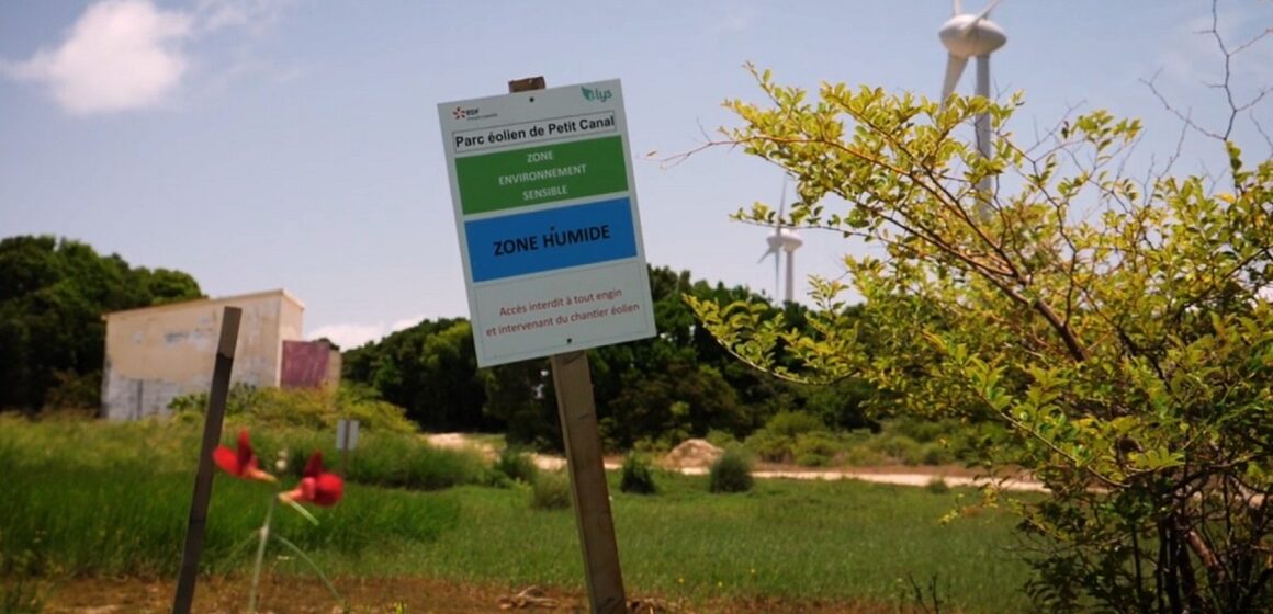 EDF Renouvelables devra réhabiliter la forêt détruite