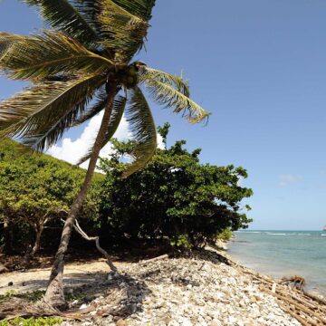 Les ilets de kahouanne Deshaies, Guadeloupe. Photo : Witt / Cœurs de nature / Sipa Les ilets de kahouanne Deshaies, Guadeloupe. Photo : Witt / Cœurs de nature / Sipa