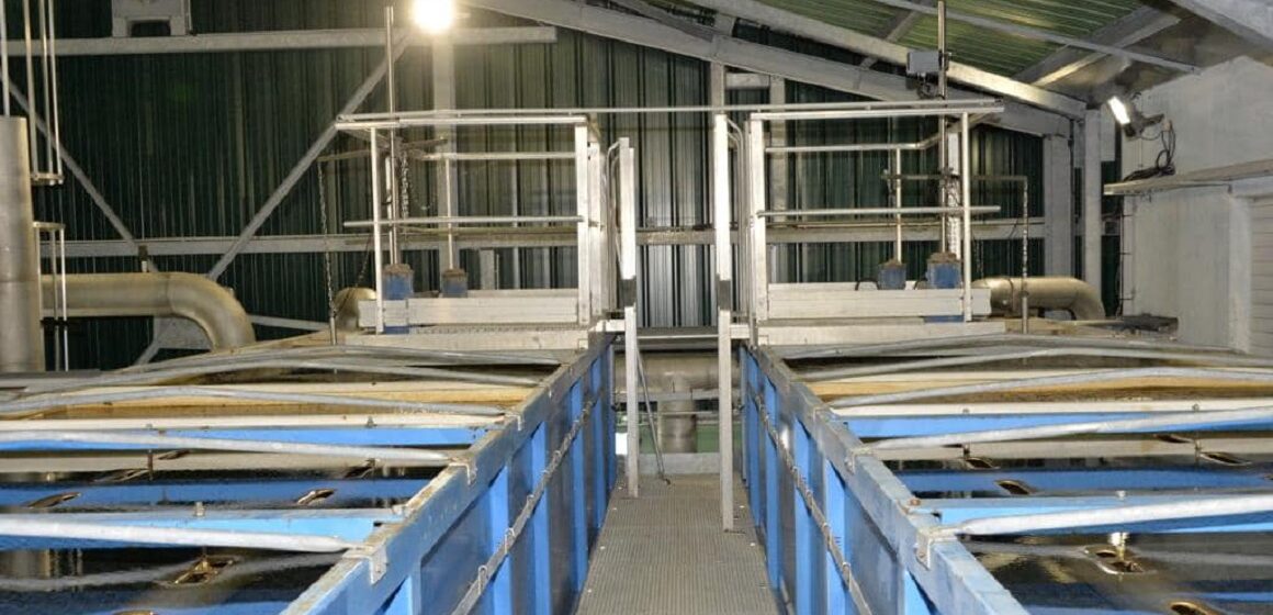 L'usine de Belin distribue l’eau potable sur Port-Louis, Anse-Bertrand et une partie de Petit-Canal. L'usine de Belin distribue l’eau potable sur Port-Louis, Anse-Bertrand et une partie de Petit-Canal.