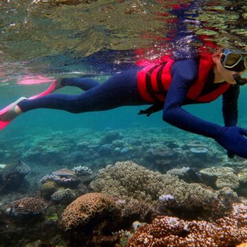 Grande barrière de corail Queensland en Australie. Photo : Chameleons Ey / Sipa Grande barrière de corail Queensland en Australie. Photo : Chameleons Ey / Sipa