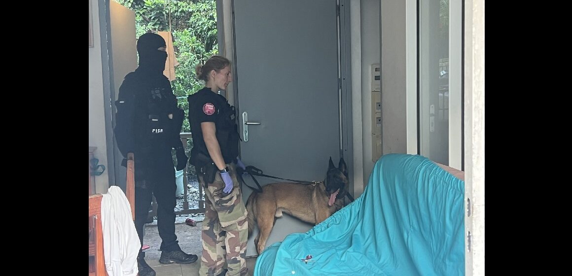 Opération de la brigade de répression des armes et de lutte contre le crime organisé (Braco) : le maître-chien de la brigade cynophile participe aux perquisitions chez les suspects de vols à main armée. Photo : Gendarmerie de Guadeloupe Opération de la brigade de répression des armes et de lutte contre le crime organisé (Braco) : le maître-chien de la brigade cynophile participe aux perquisitions chez les suspects de vols à main armée. Photo : Gendarmerie de Guadeloupe