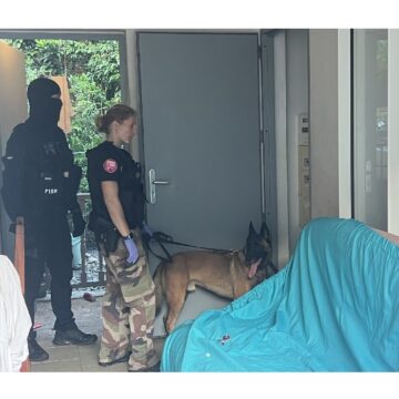 Opération de la brigade de répression des armes et de lutte contre le crime organisé (Braco) : le maître-chien de la brigade cynophile participe aux perquisitions chez les suspects de vols à main armée. Photo : Gendarmerie de Guadeloupe